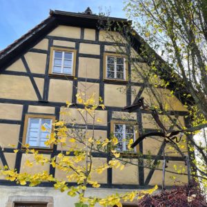 Altcoschütz_IMG_9004_quad